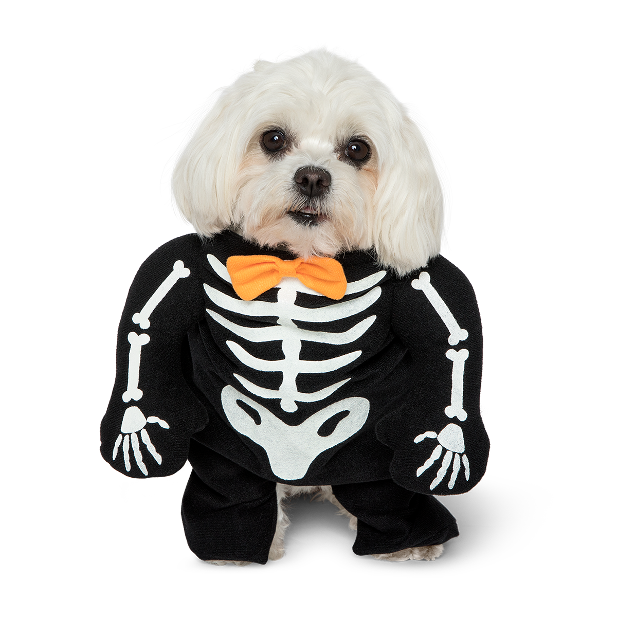 Pet Dress Up Skeleton
