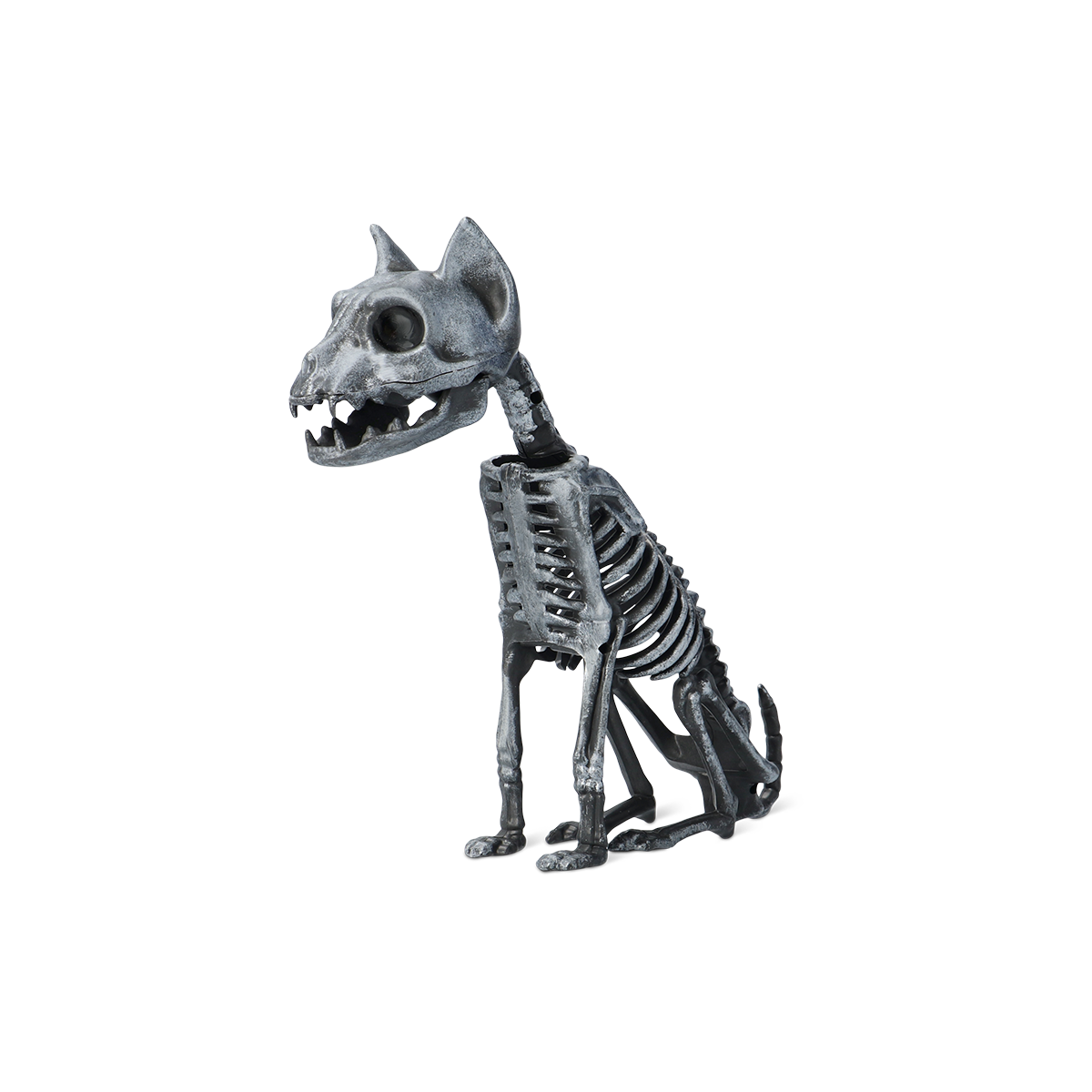 Skeleton Cat